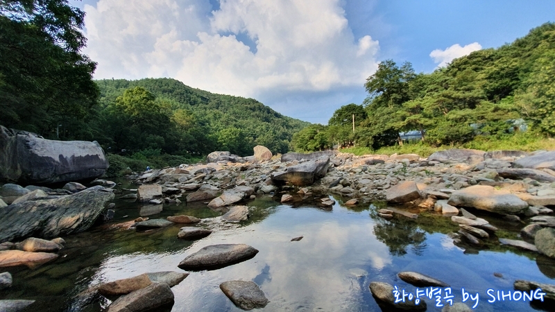 20190804_170356.jpg
