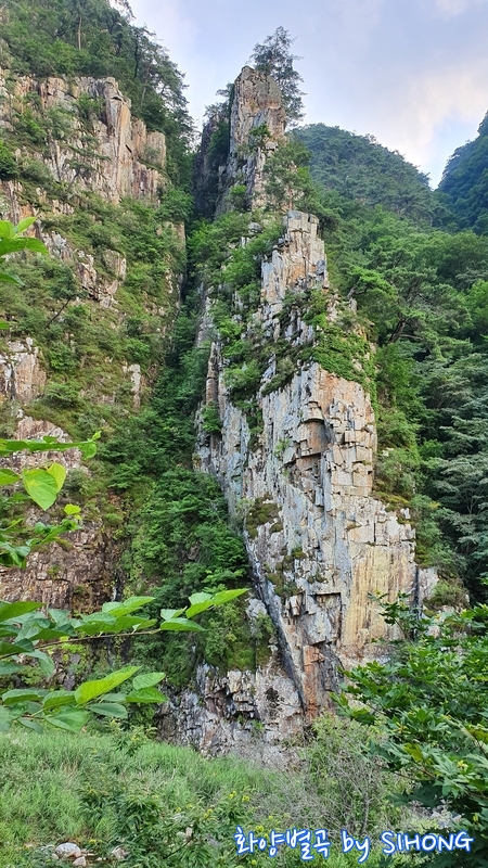 20190804_174906.jpg