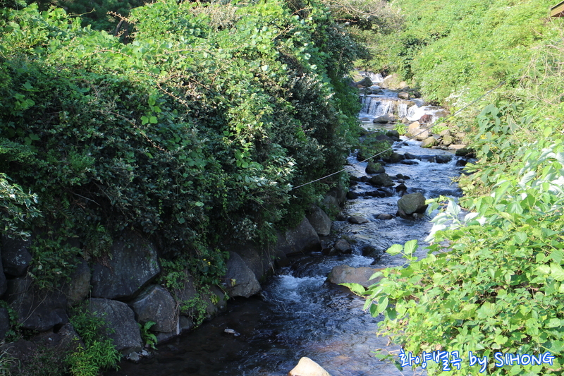 IMG_0087.JPG