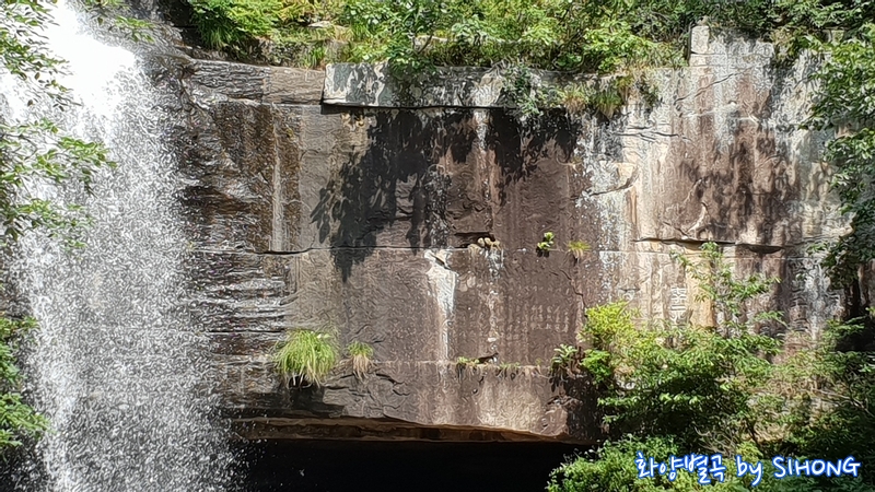 20180723_151110.jpg