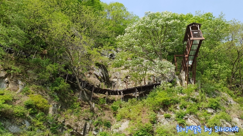 20180505_090049.jpg