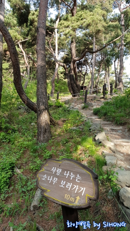 20180505_083014.jpg