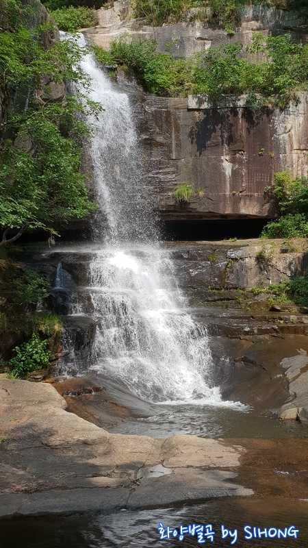 20180723_153548.jpg