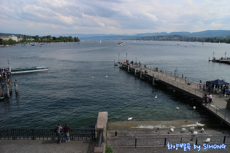 IMG_0500.JPG