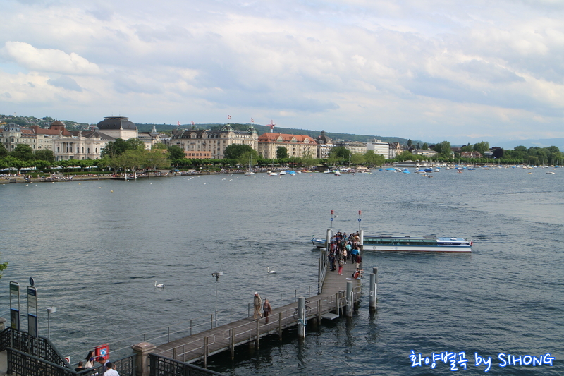 IMG_0497.JPG