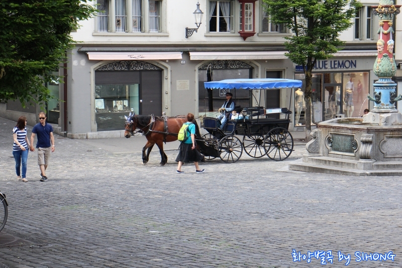 IMG_0212.JPG