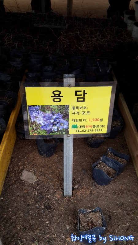 20140308_102041.jpg