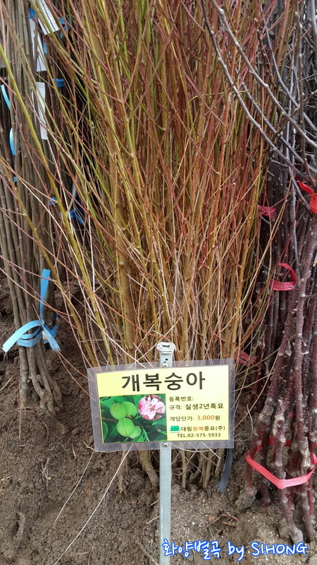 20140308_094414.jpg