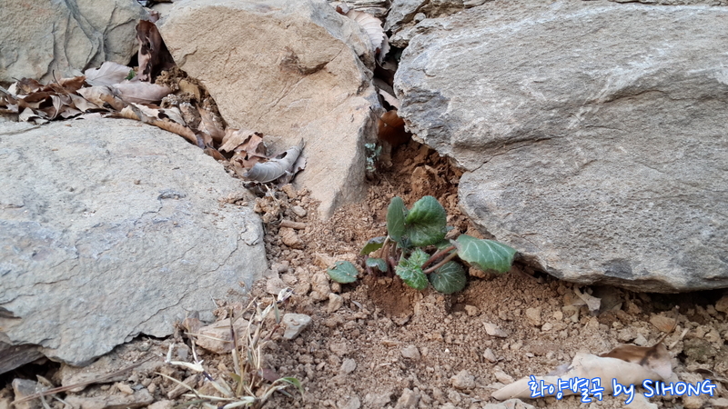 20140308_180603.jpg