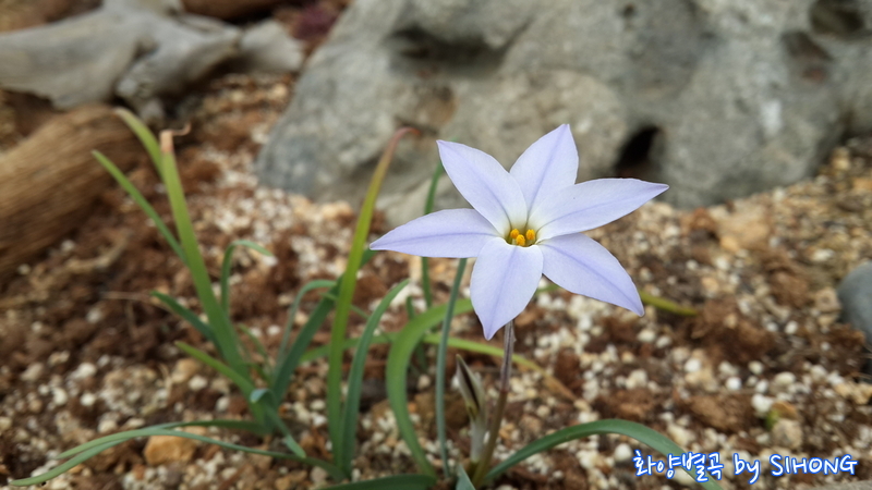 20140308_133847.jpg