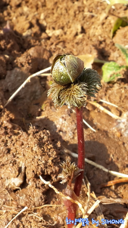 20140308_155342.jpg