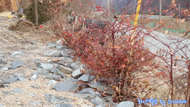 20140308_180853.jpg
