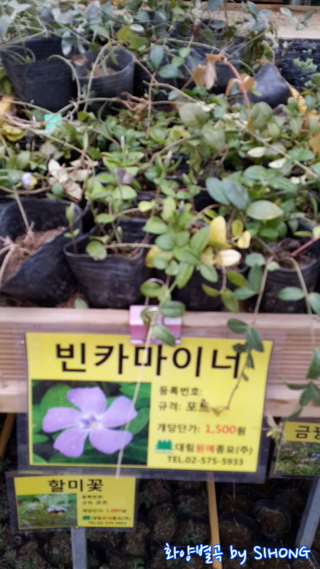 20140308_095425.jpg