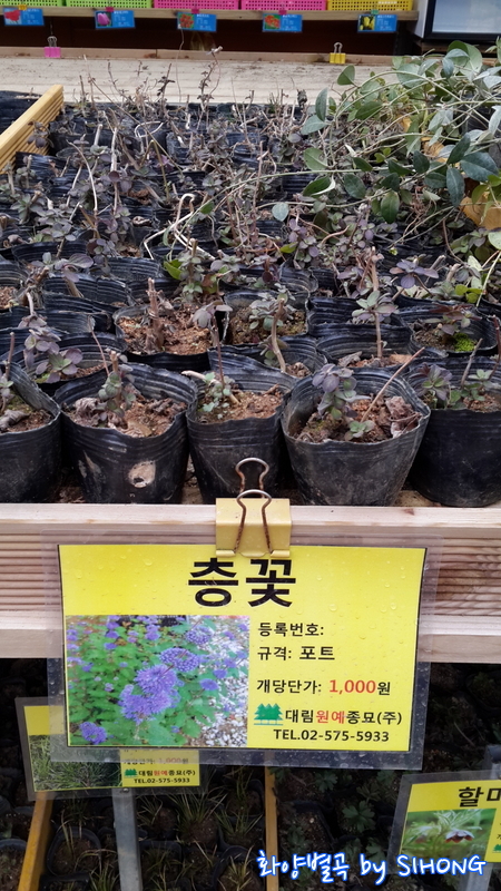 20140308_102019.jpg