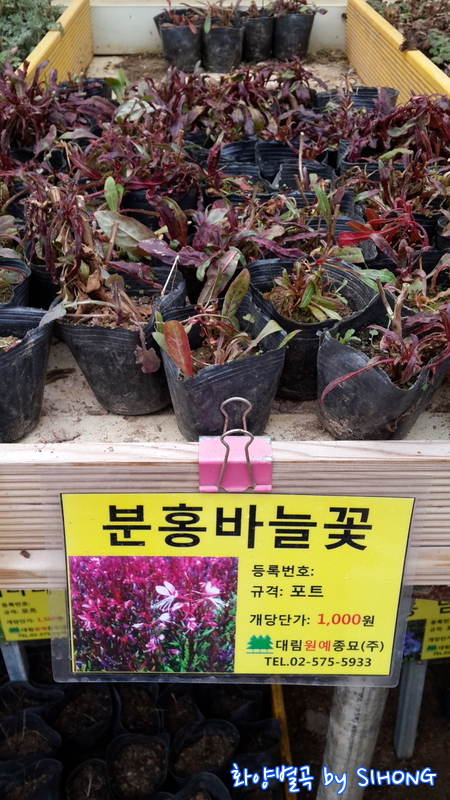 20140308_100412.jpg