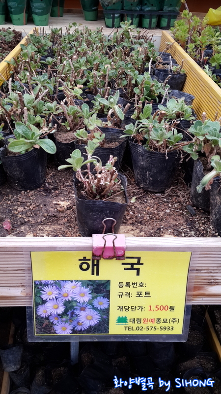 20140308_100407.jpg