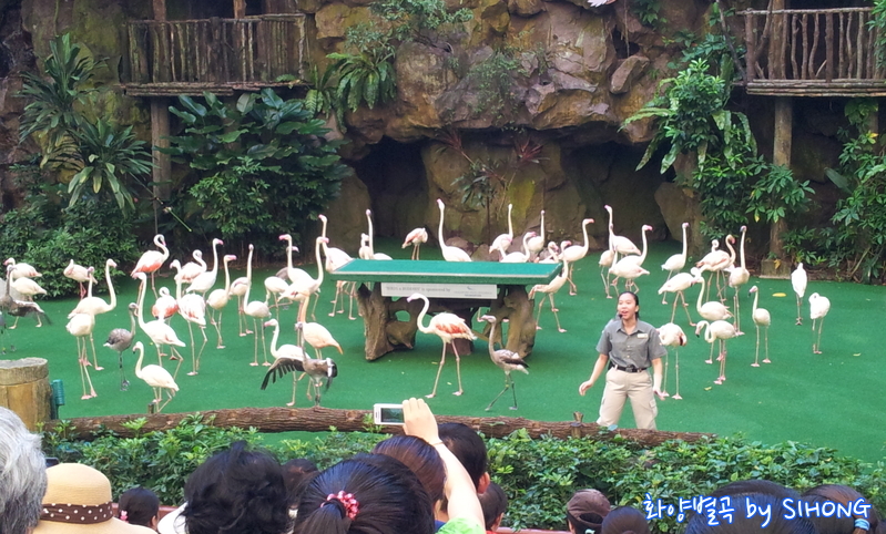 20120622_110007.jpg
