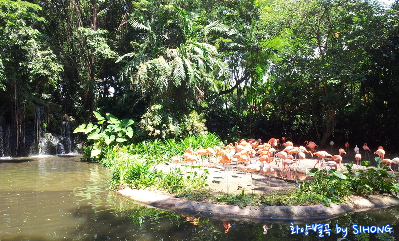 20120622_121159.jpg