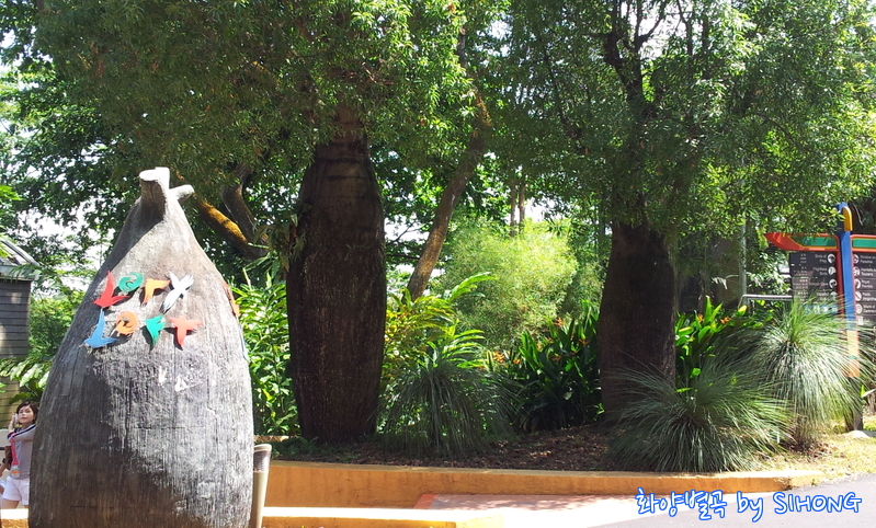 20120622_114324.jpg