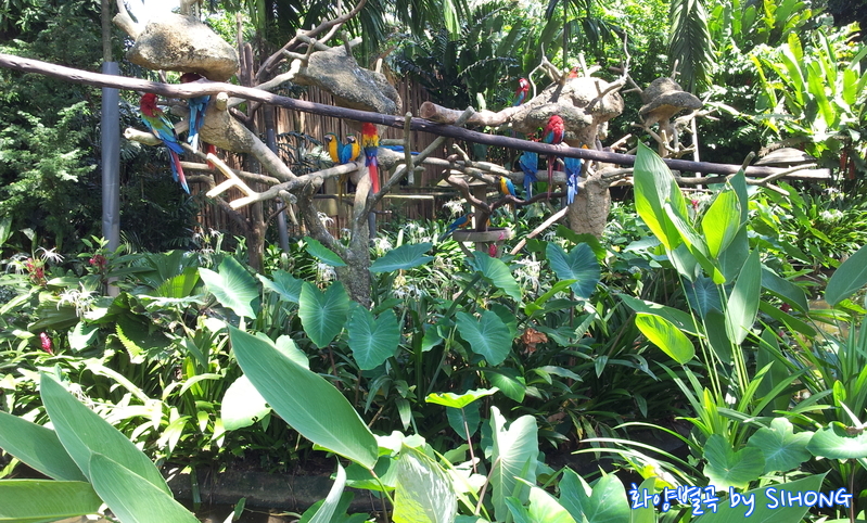 20120622_121343.jpg