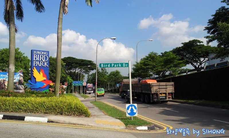 20120622_100207.jpg