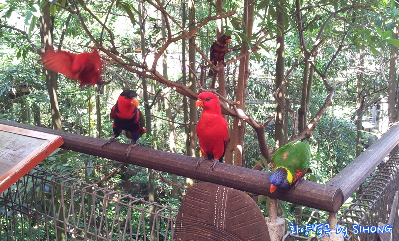 20120622_113753.jpg