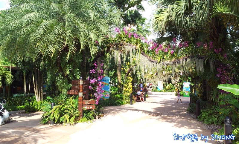20120622_100331.jpg
