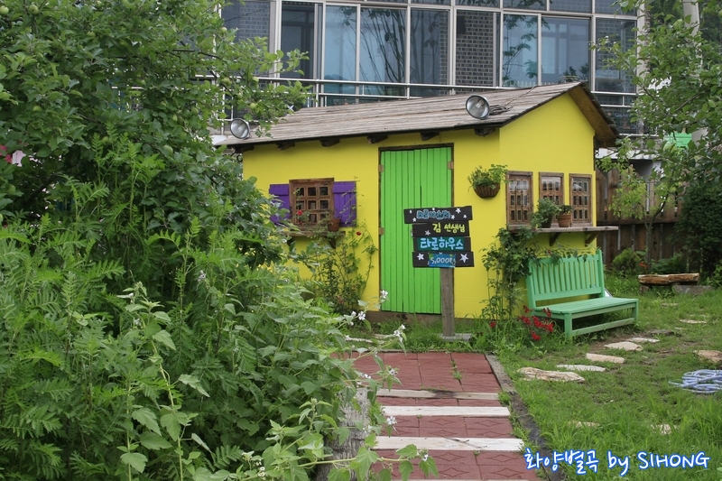 MG_0815.JPG