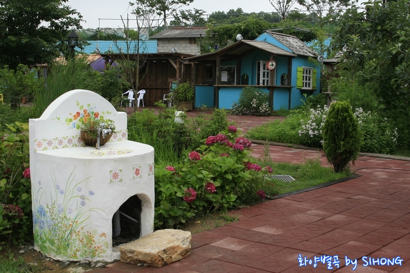 MG_0816.JPG