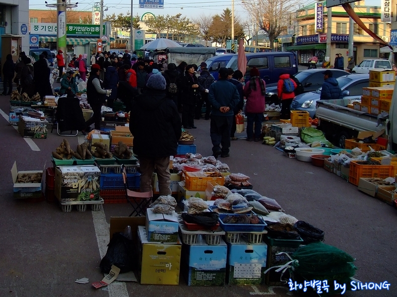사진 036.jpg