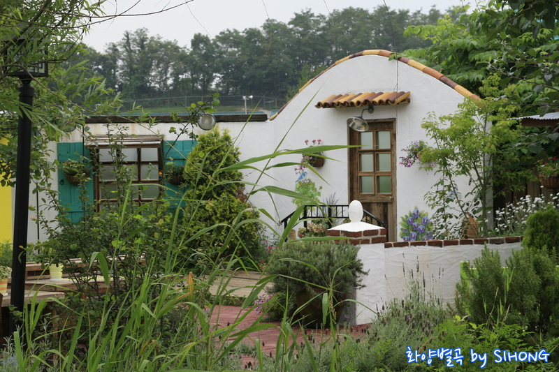 MG_0793.JPG