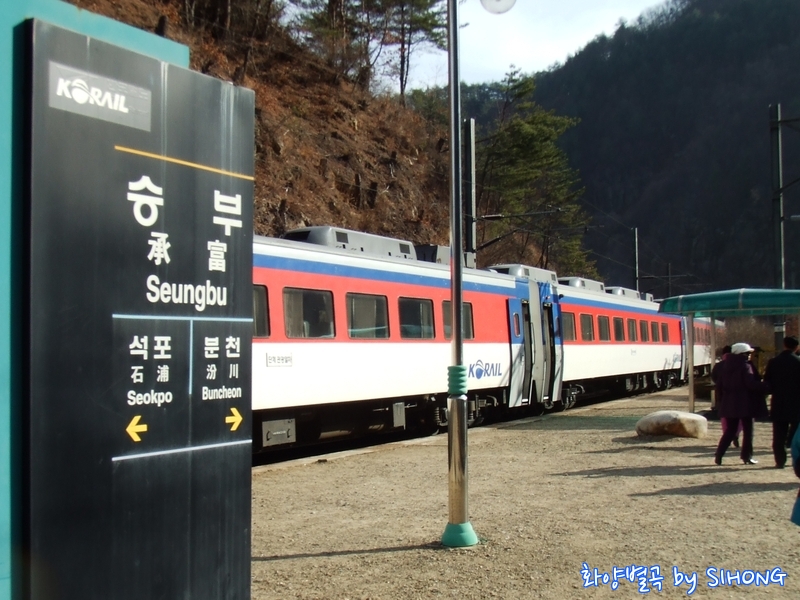 사진 017.jpg