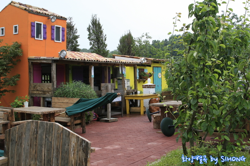 MG_0790.JPG
