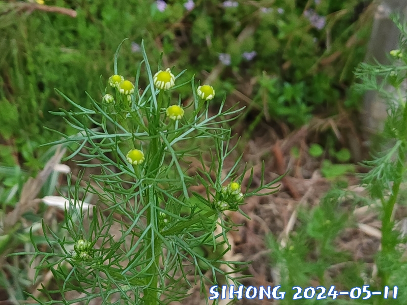 20240511_181435.jpg