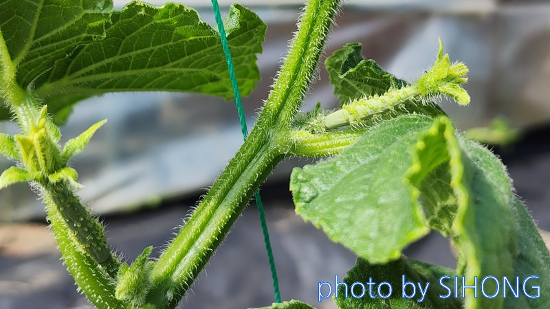 20240522_153116.jpg