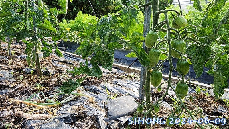 20240609_074749.jpg