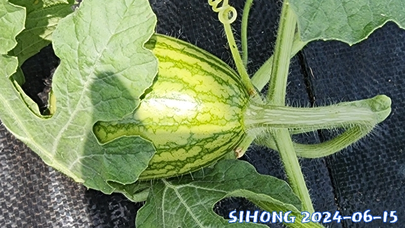 20240615_111017.jpg