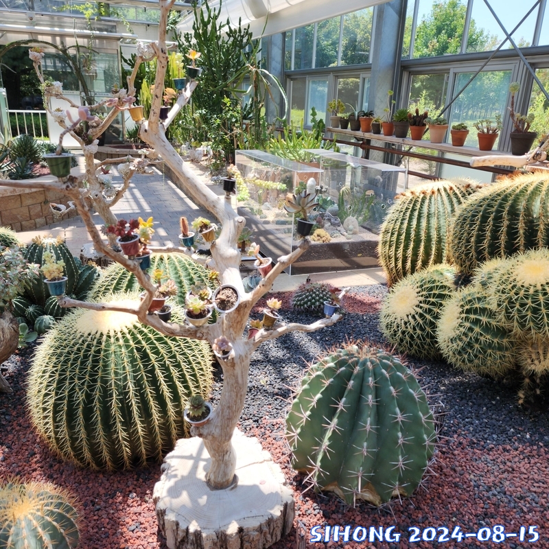20240814_125002.jpg