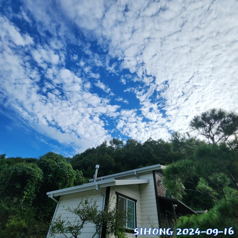 20240916_081950.jpg