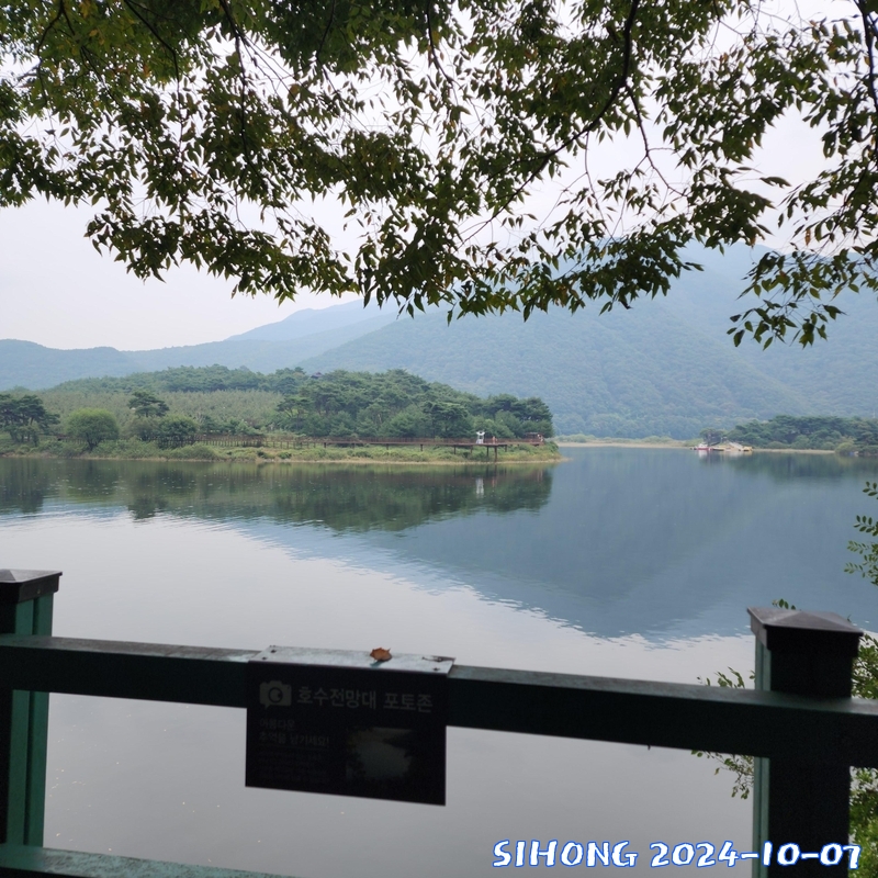 20241007_133519.jpg