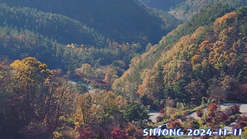20241111_143236.jpg