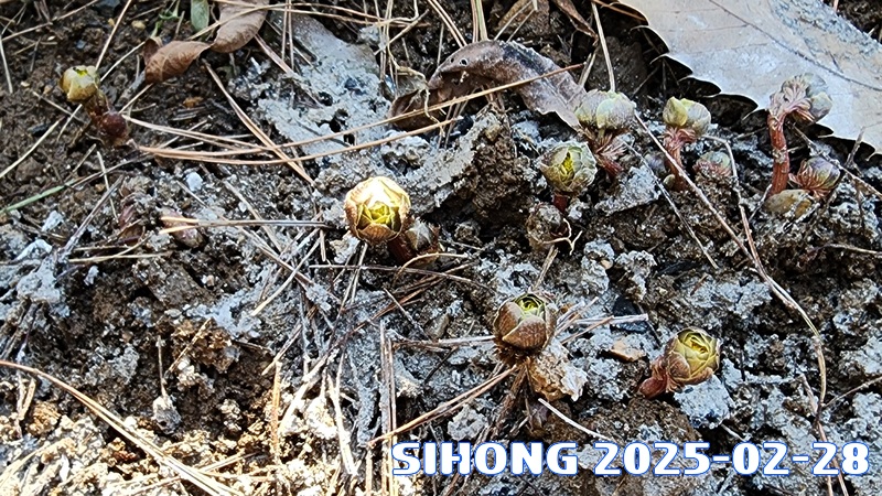 20250228_133156.jpg
