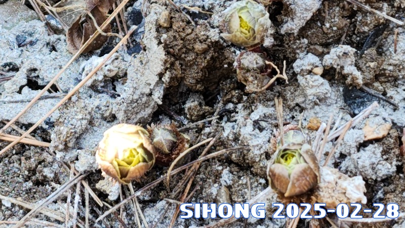 20250228_133311.jpg
