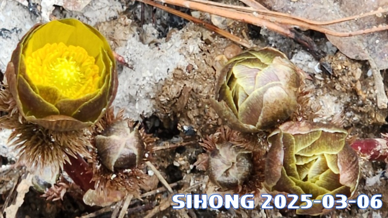 20250306_151539.jpg