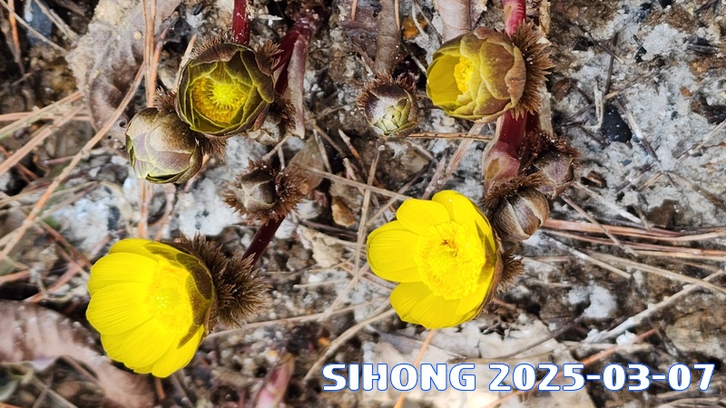 20250307_134640.jpg