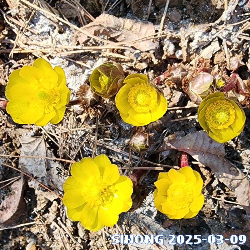 20250309_121049.jpg