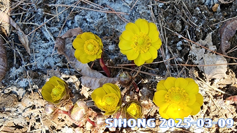 20250309_121006.jpg