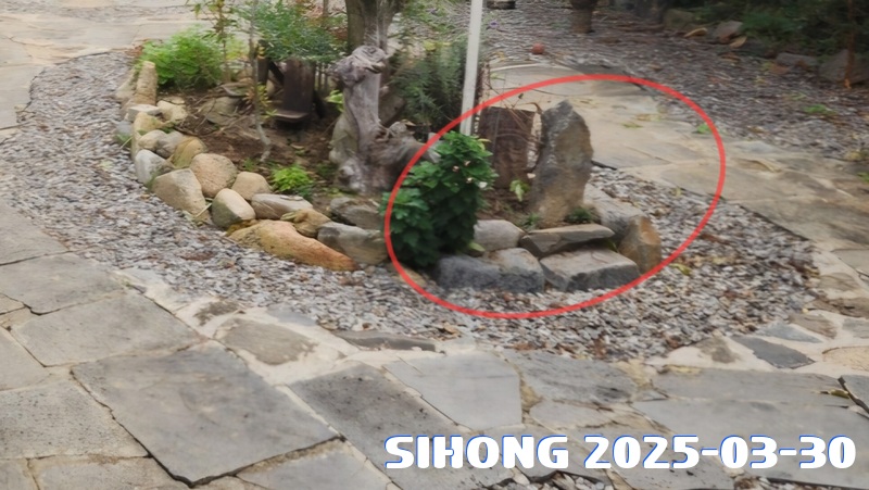 i250330010.jpg