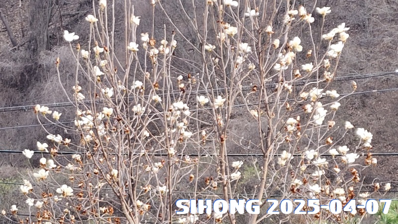 20250407_175846.jpg