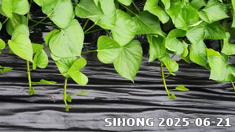 20250620_174325.jpg